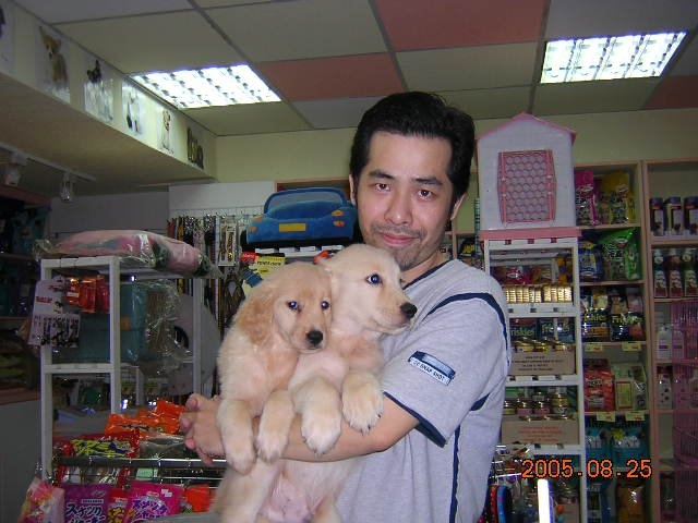 陈道明的第六张照片--香港蓝颜知己交友网